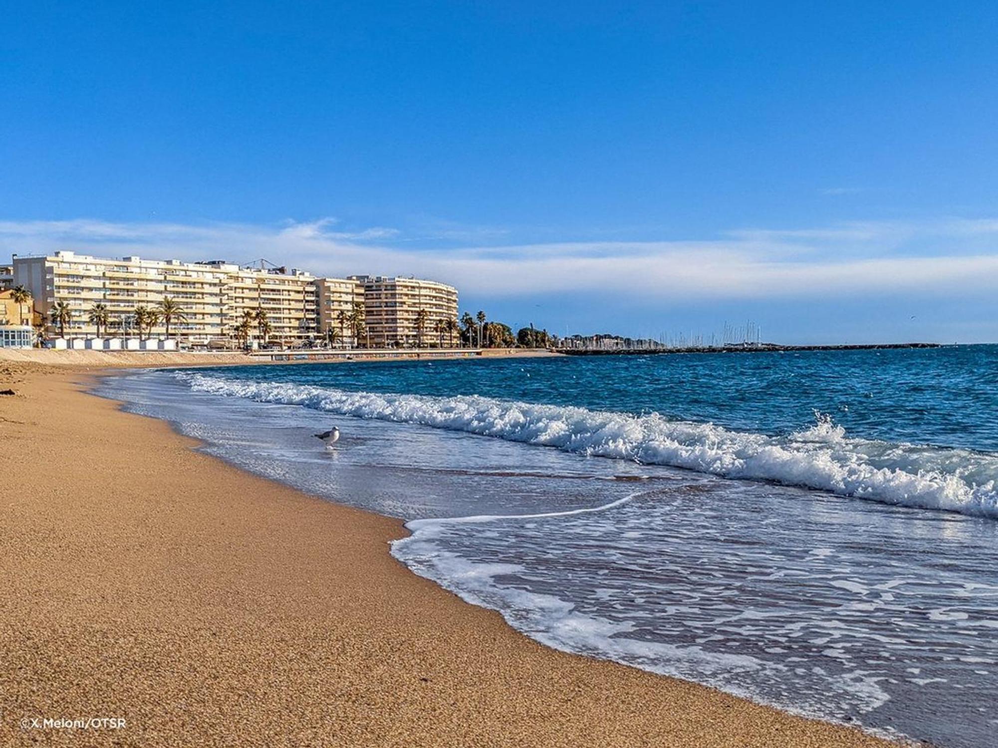 Appartement 2P, 4 Couchages, Terrasse Et Salon De Jardin A 200M De La Plage, Frejus - Fr-1-226A-22 Zewnętrze zdjęcie